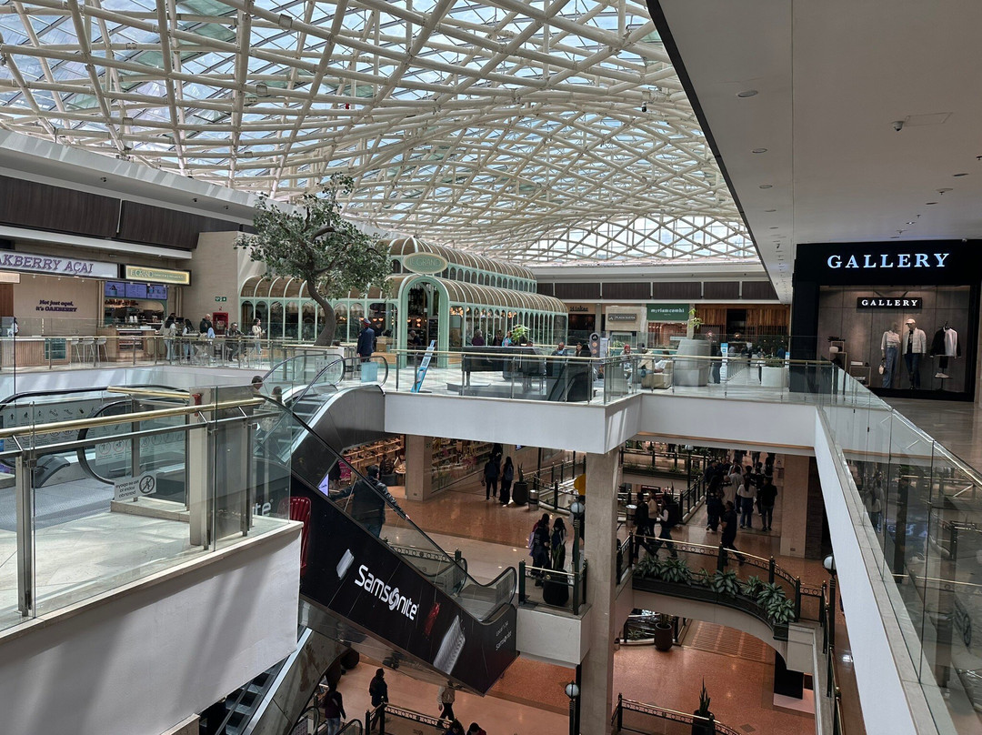 Centro Comercial Andino景点图片