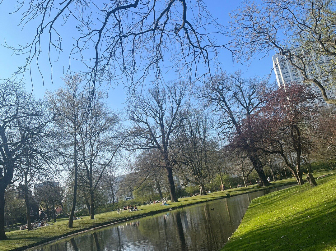 Het Park-鹿特丹必去景点