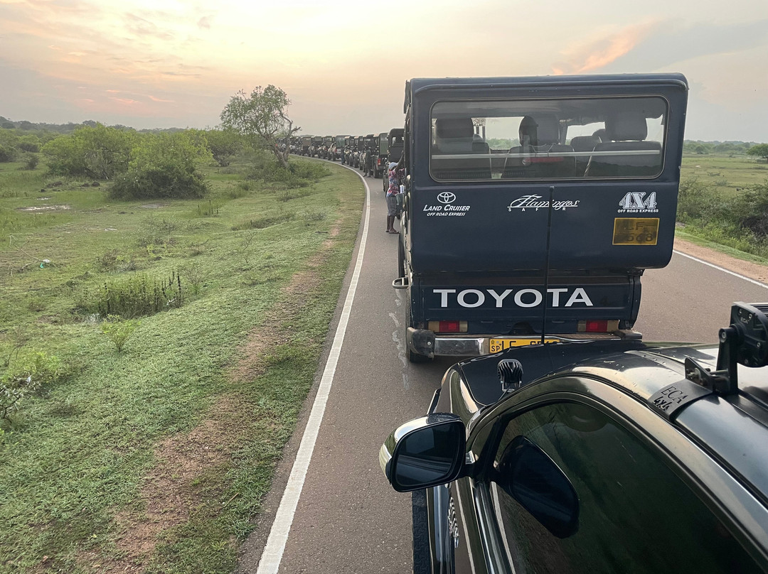 Yala National Park景点图片