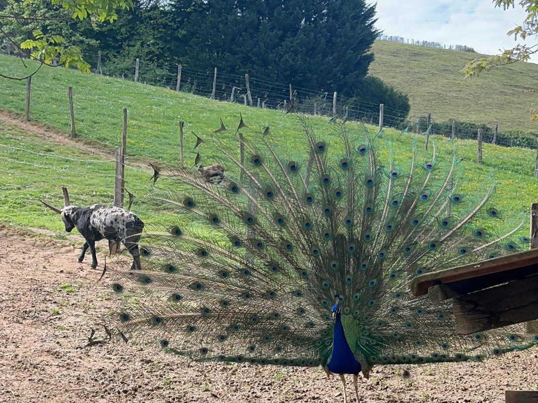 Le Parc Animalier ETXOLA-Sare必去景点