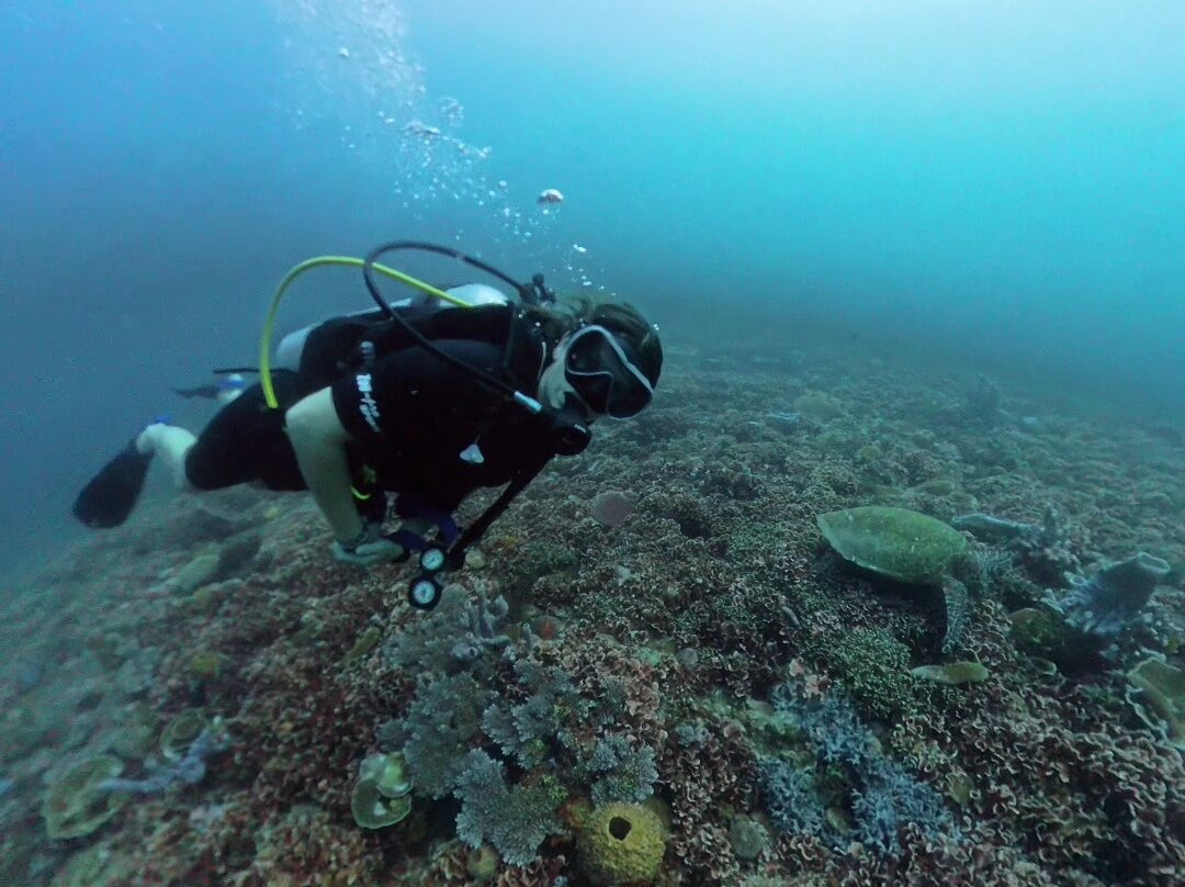 Meno Dive Club景点图片