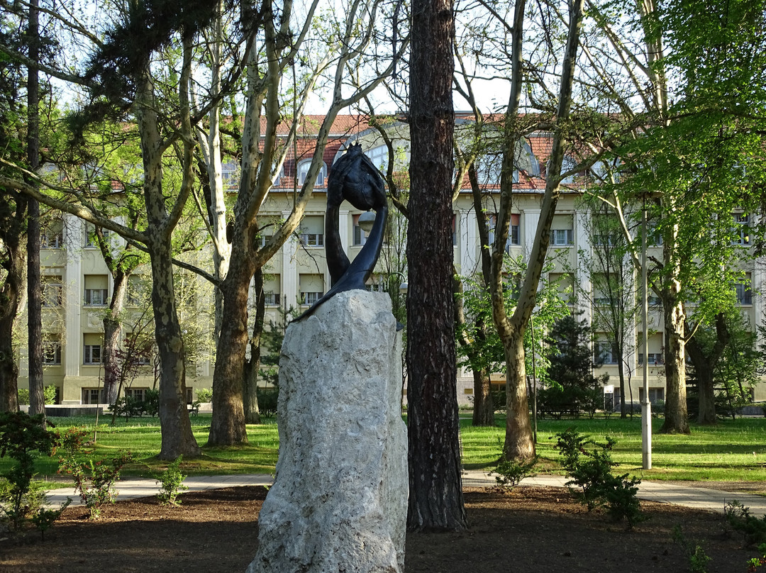 University of Debrecen-德布勒森必去景点