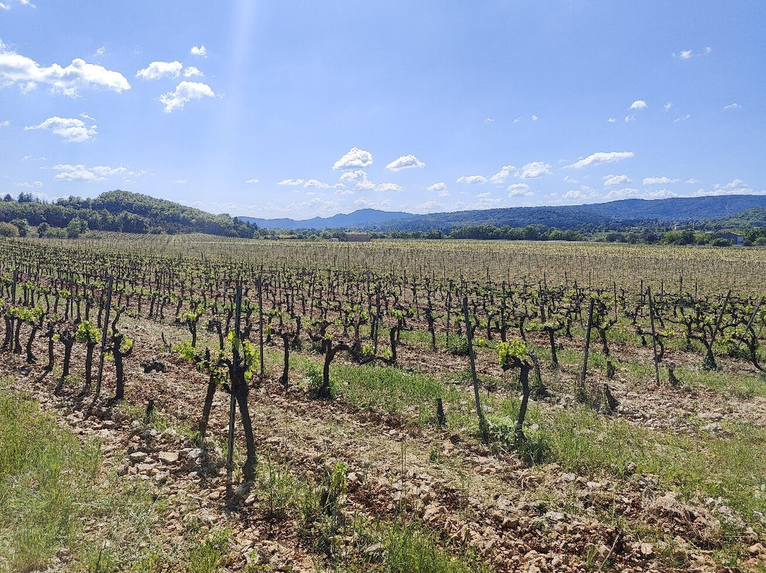 Ardeche Trottinette景点图片