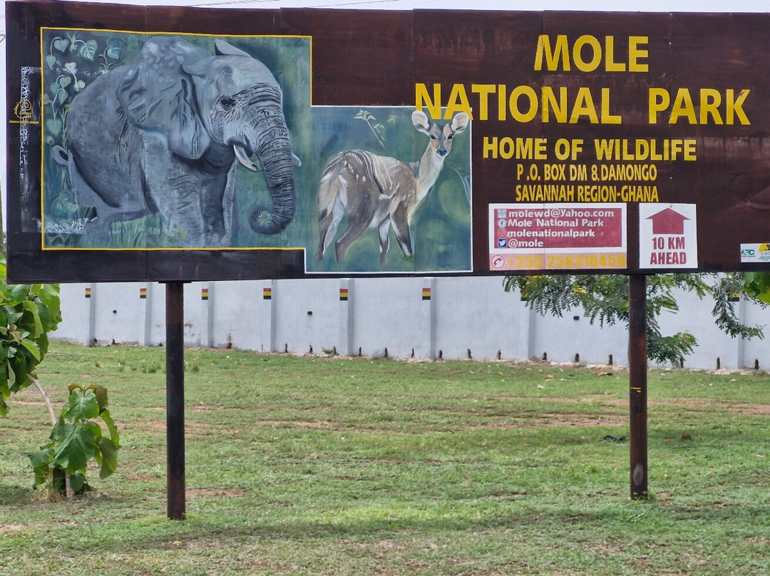 Little Afrika Lodge主图