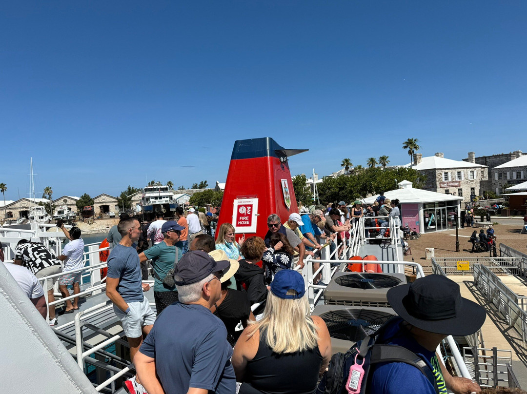 Sea Express Ferry Service-汉密尔顿必去景点