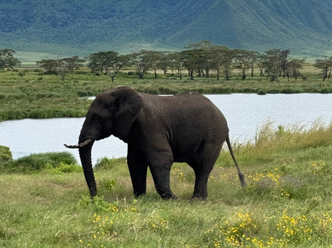 Tanzania Kanyenga-阿鲁沙必去景点