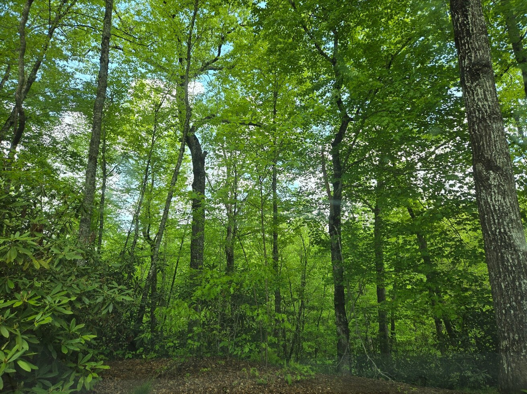The Tunnel To Nowhere-布赖森城必去景点