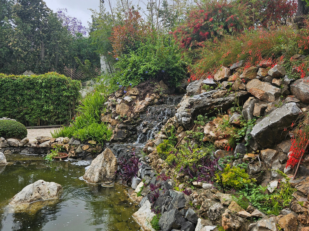 Jardin Botanico Molino de Inca景点图片