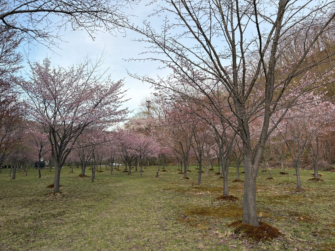 Lake Eniwa Jiyu Hiroba-惠庭市必去景点