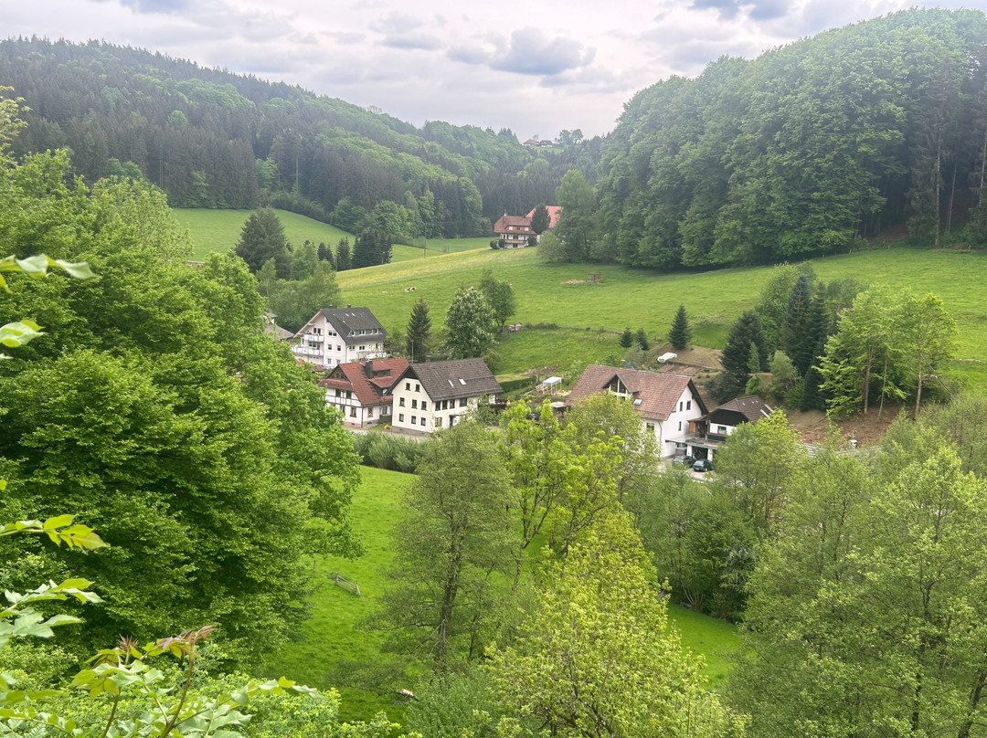 Gasthof Hirschen-Dorfmuehle主图