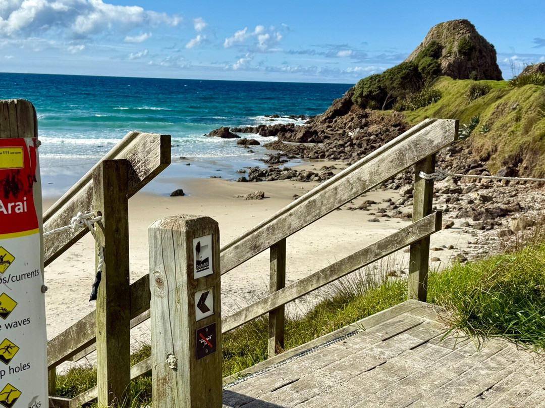 Mangawhai Heads Surf School-Mangawhai必去景点
