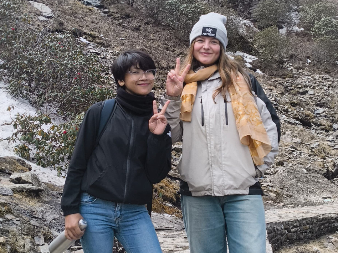 Sikkim Tours and Travels景点图片