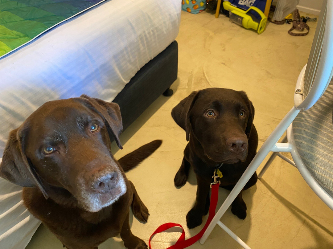 Blue Water Motel主图