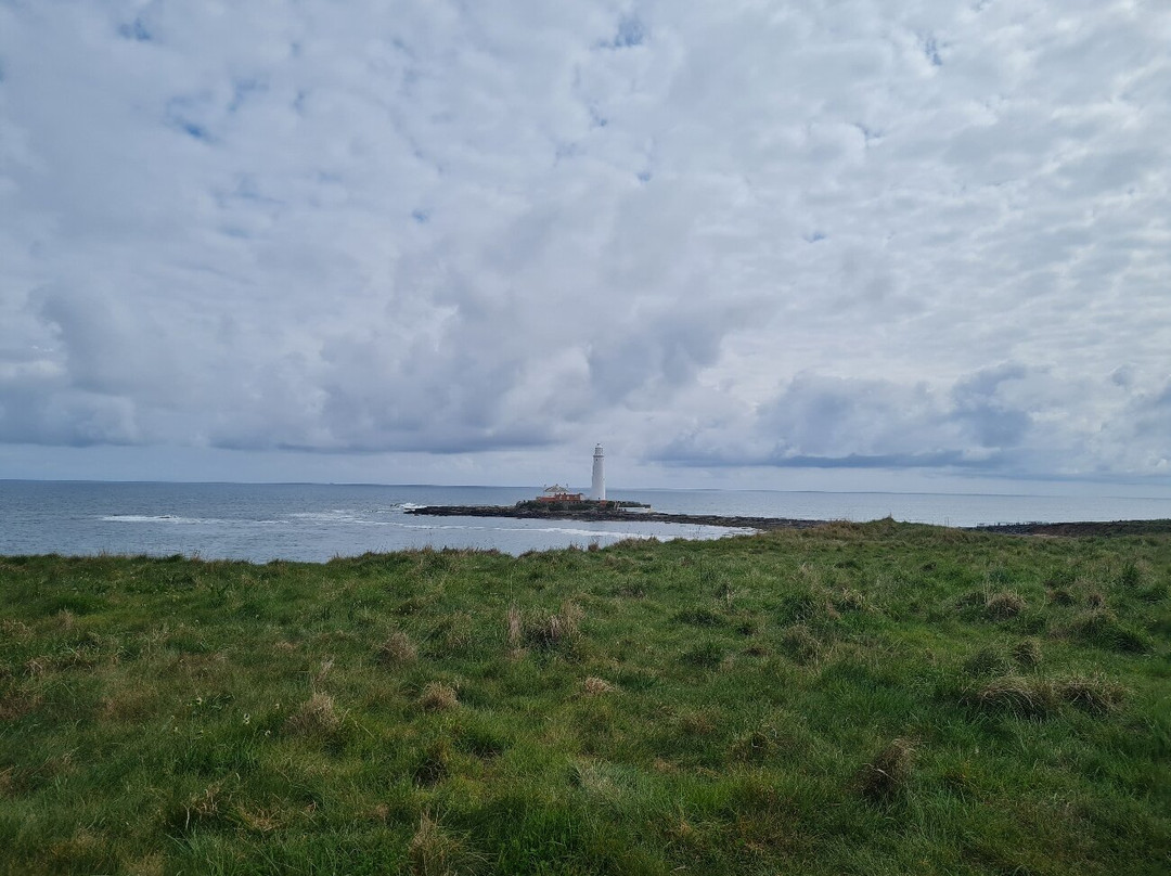 Seaton Sluice Beach景点图片