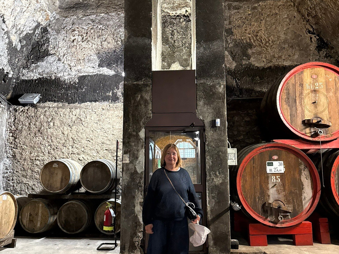 Cantina Castello di Torre in Pietra-Torrimpietra必去景点