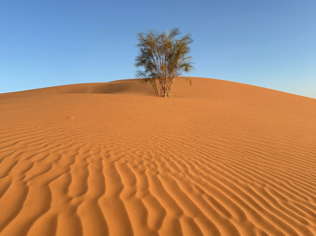 Discover Ghardaia Travel Agency-盖尔达耶必去景点