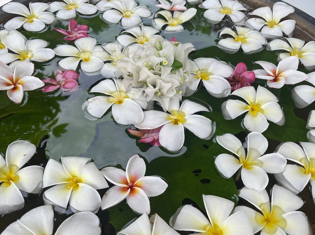 Cape Spa-攀瓦角必去景点