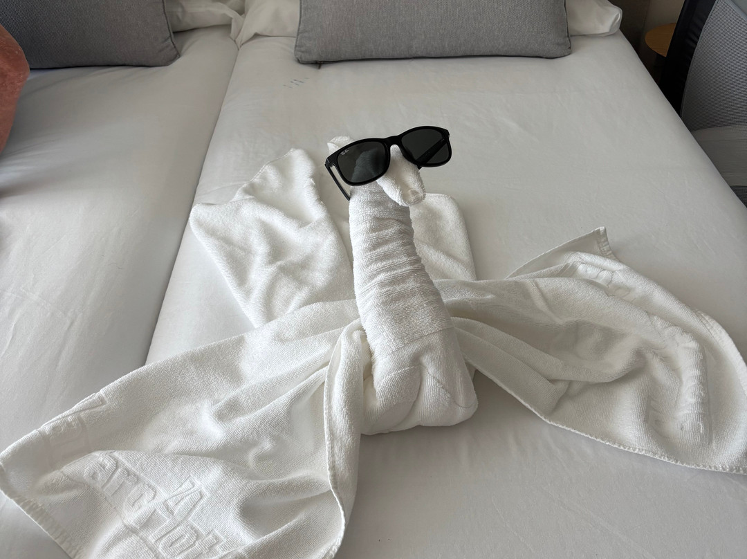 Hotel & Spa Blau Parc主图
