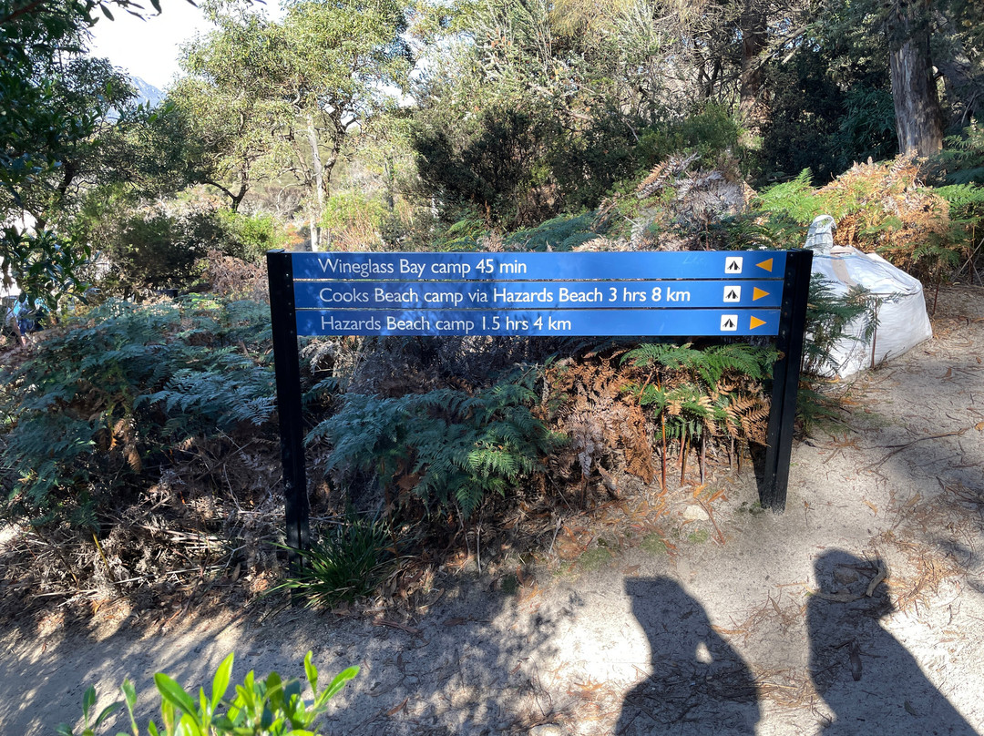 Wineglass Bay and Hazards Beach Circuit景点图片