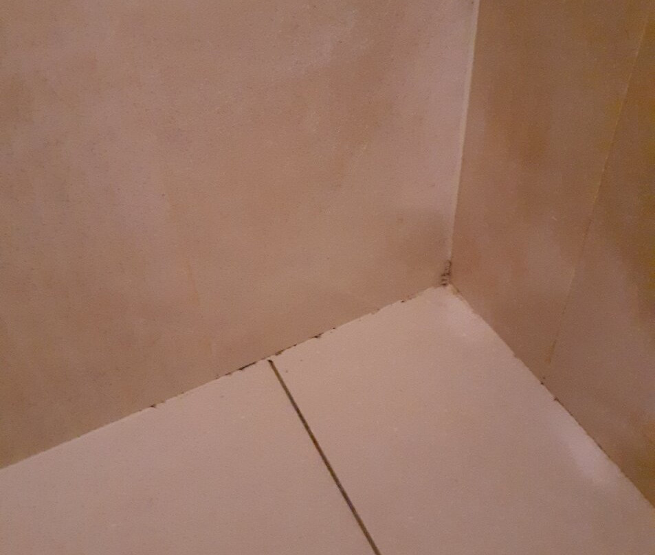 Enzo Hôtel Diane - Logis Amnéville主图