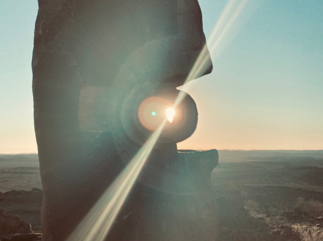 Living Desert State Park-布罗肯希尔必去景点