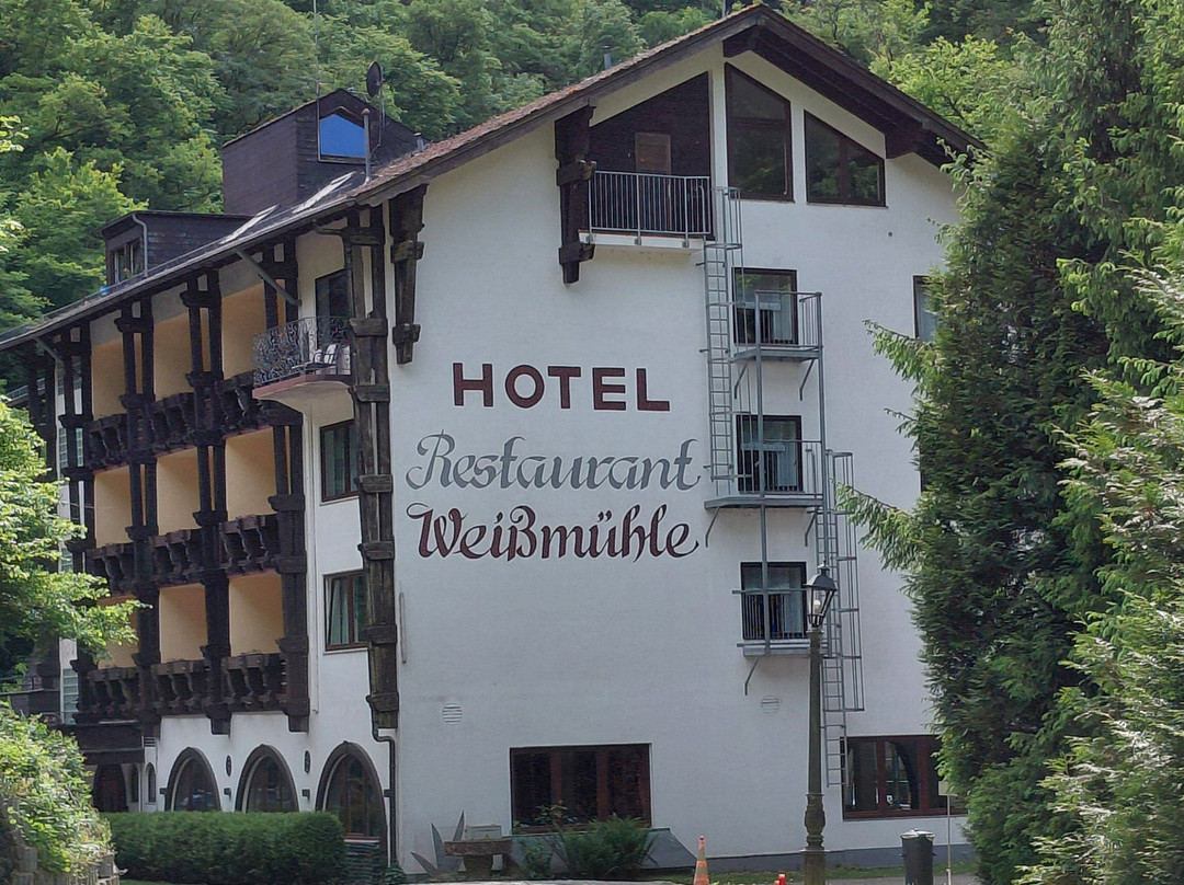 Moselromantik-Hotel Weissmuhle主图