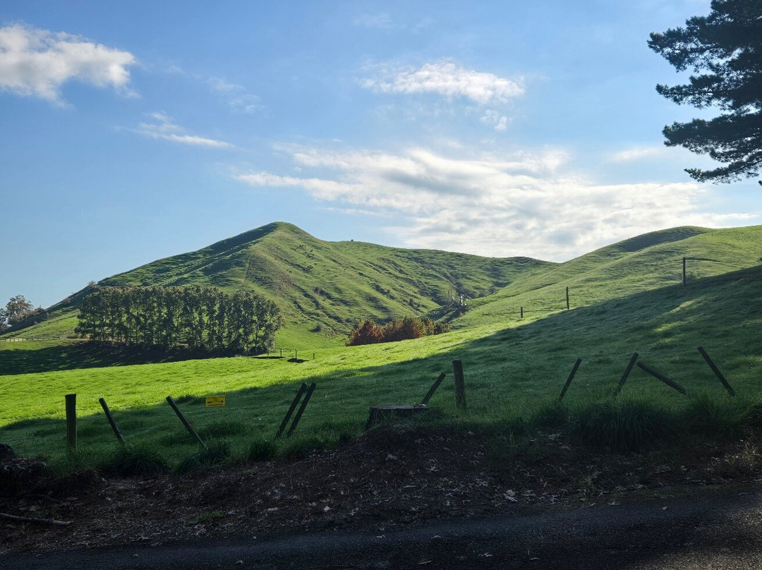 The Sculpture Park-汉密尔顿必去景点