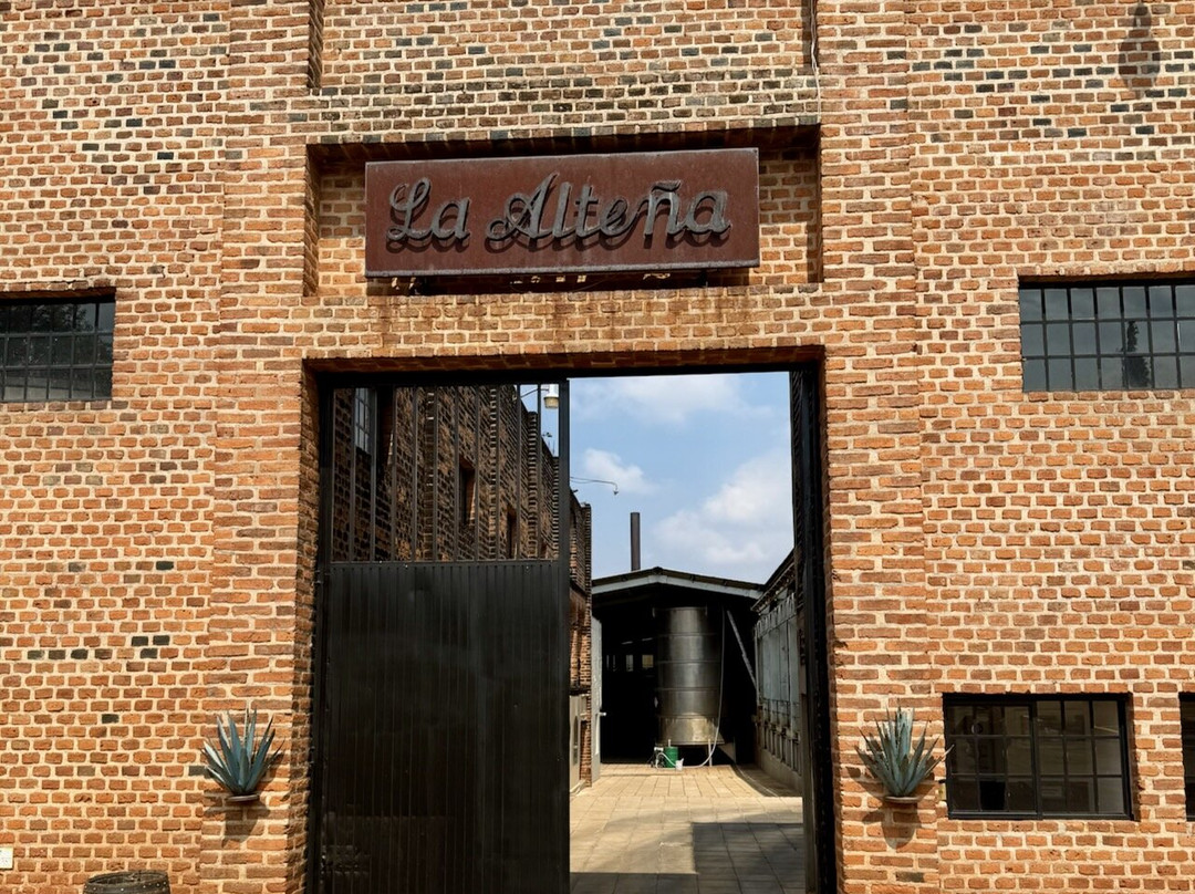 Experience Agave-特基拉必去景点