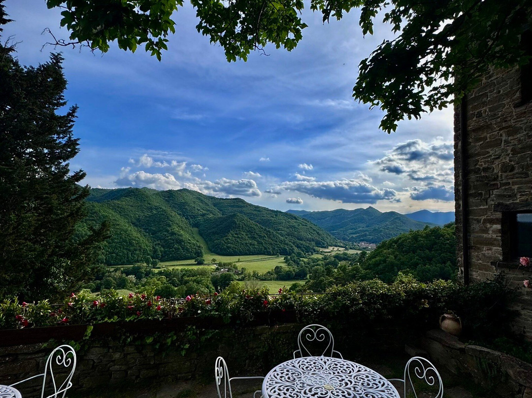 Agriturismo biologico Castello Della Pieve主图