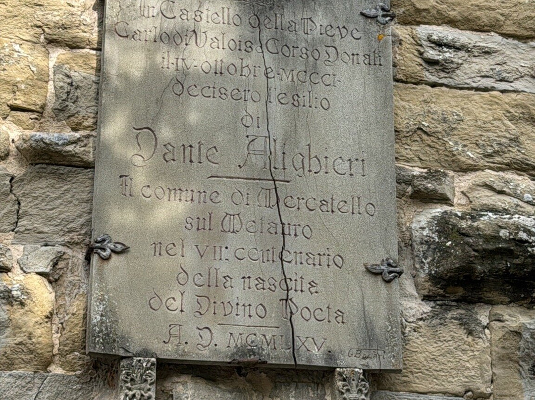 Agriturismo biologico Castello Della Pieve主图