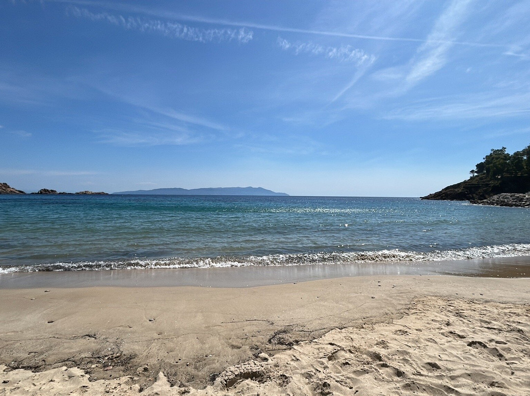 Spiaggia delle Cannelle-Isola del Giglio必去景点