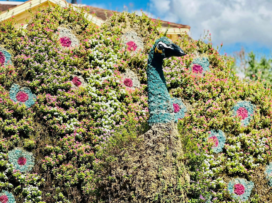 Peace River Botanical & Sculpture Gardens-蓬塔戈尔达必去景点