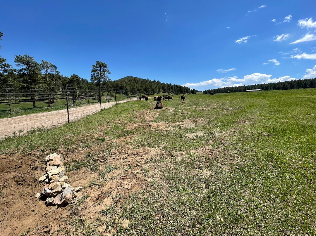 Genesee Park-丹佛必去景点