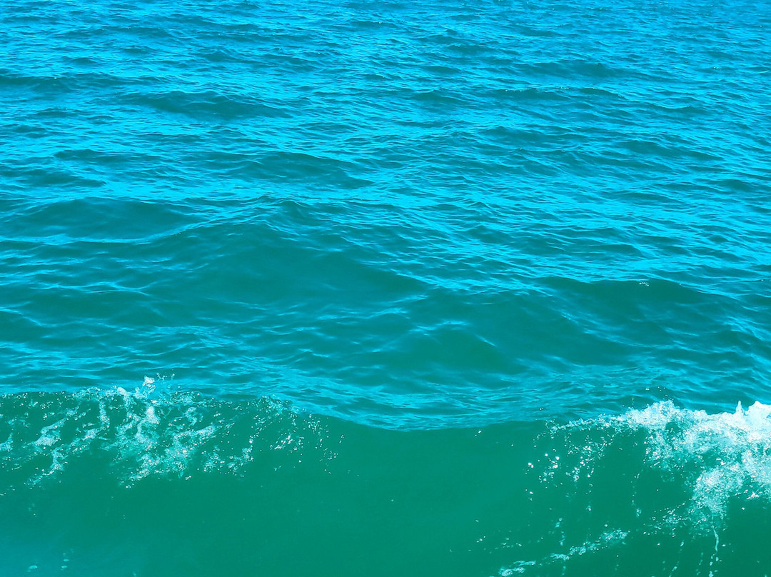 Taocas-Maragogi必去景点