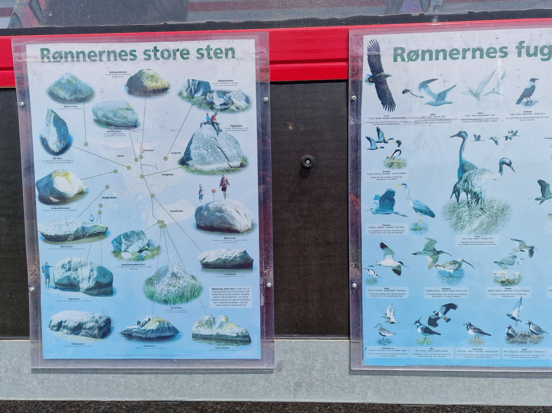 Roennerbussen景点图片