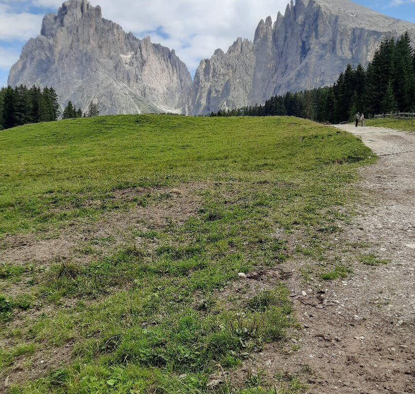 Alpe di Siusi景点图片