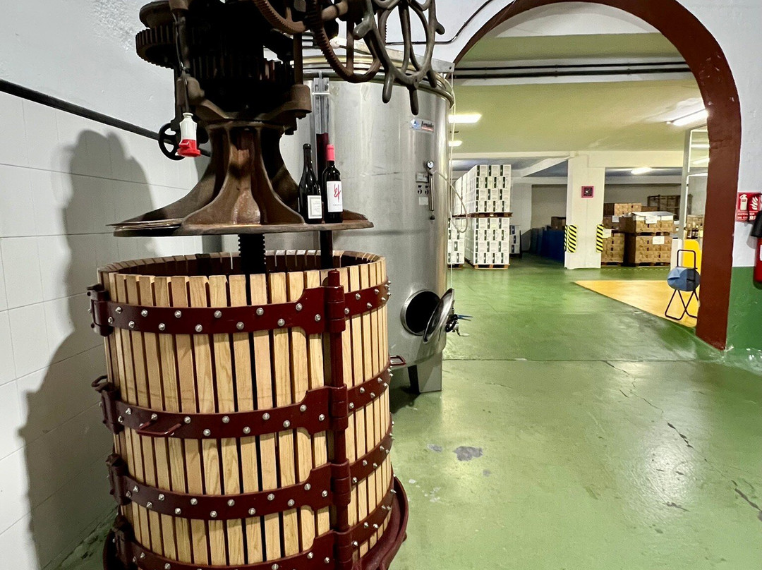 Bodegas Teneguia-Fuencaliente de la Palma必去景点