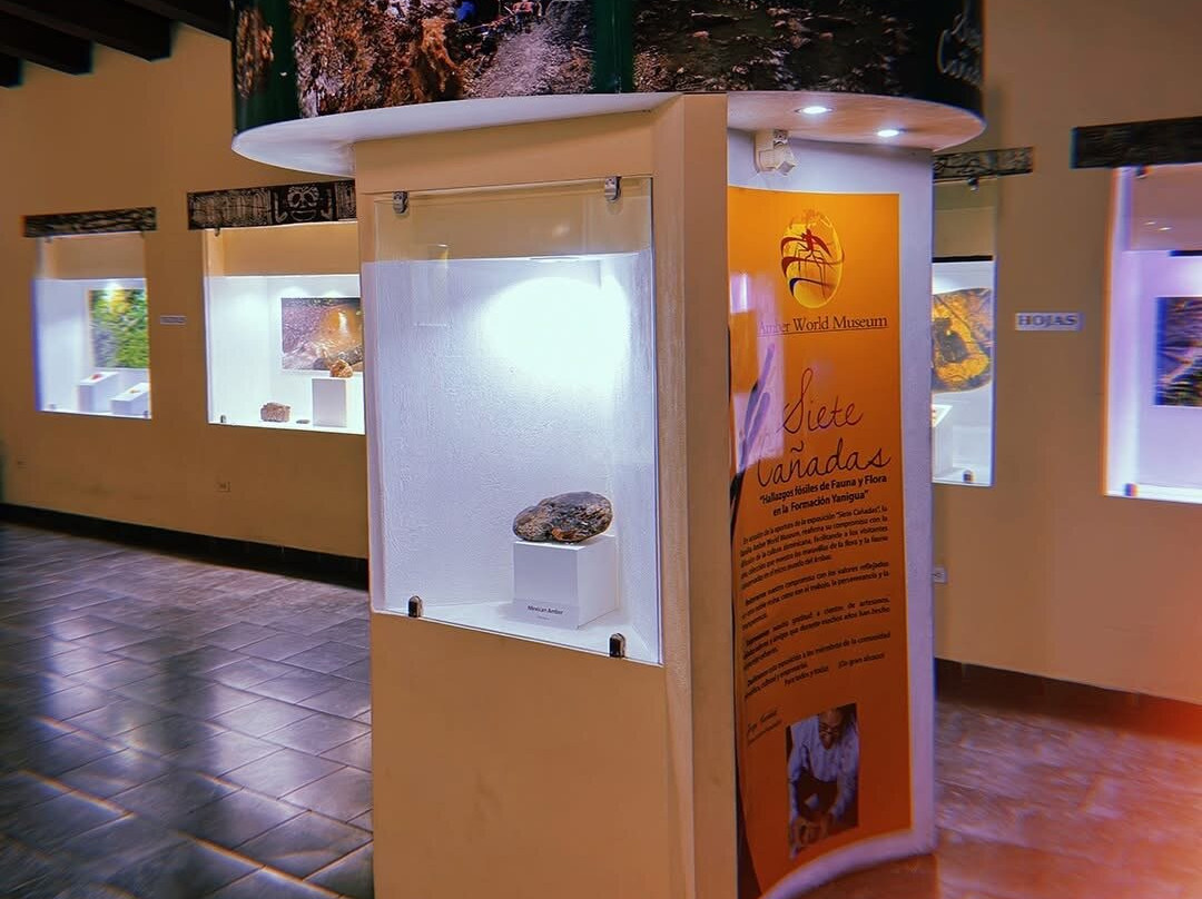 Dominican Amber Museum-普拉塔港必去景点