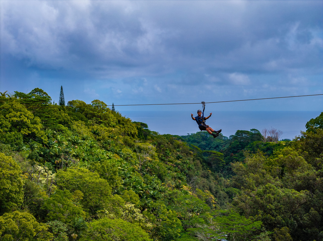 Hawaii Zipline & Hiking Tours-哈诺姆必去景点