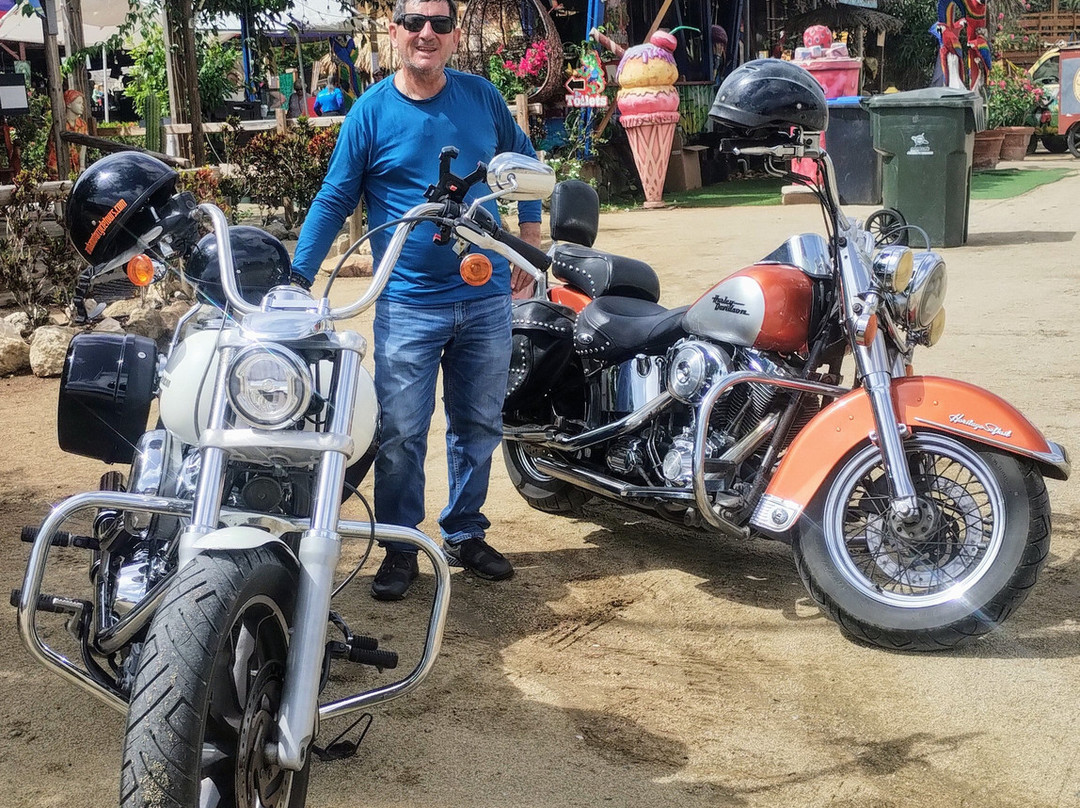 Aruba Motorcycle Tours-奥腊涅斯塔德必去景点