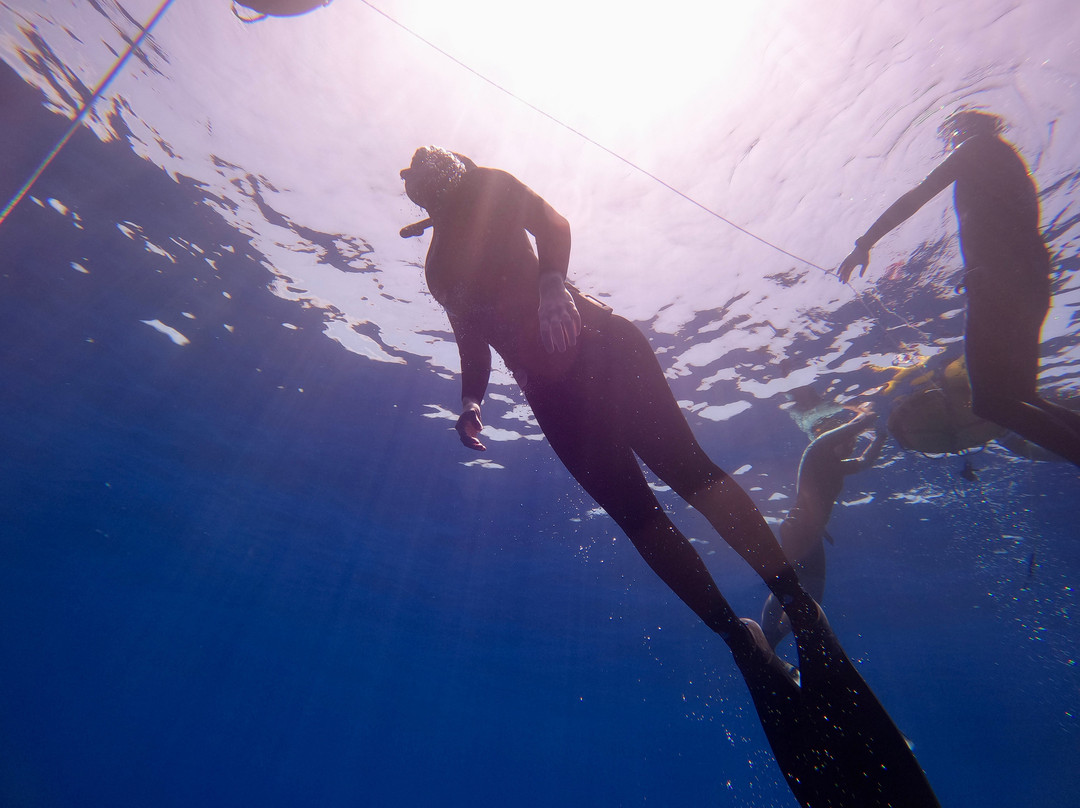 Seawater Society Charters - Malta-马耳他岛必去景点