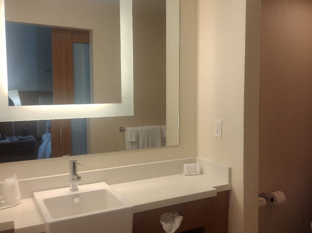 SpringHill Suites by Marriott Bridgeport Clarksburg主图