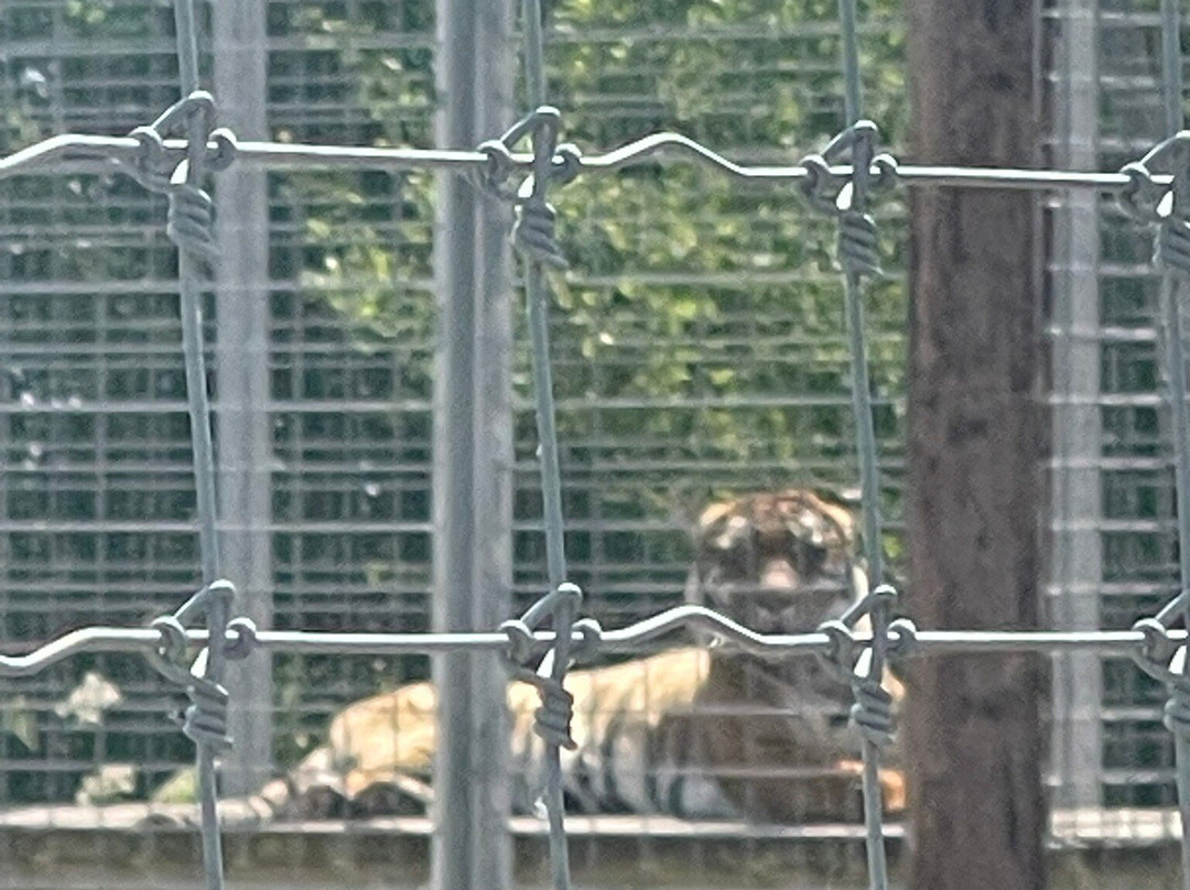 Hamerton Zoo Park-Sawtry必去景点