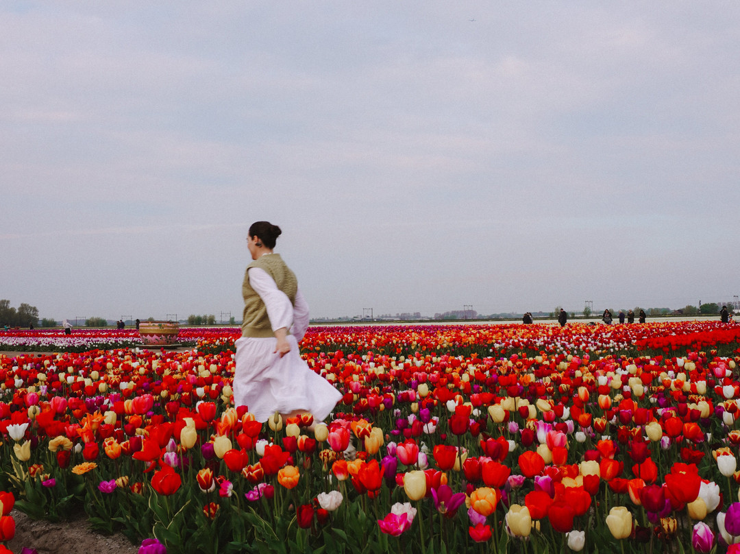 The Tulip Barn-Hillegom必去景点