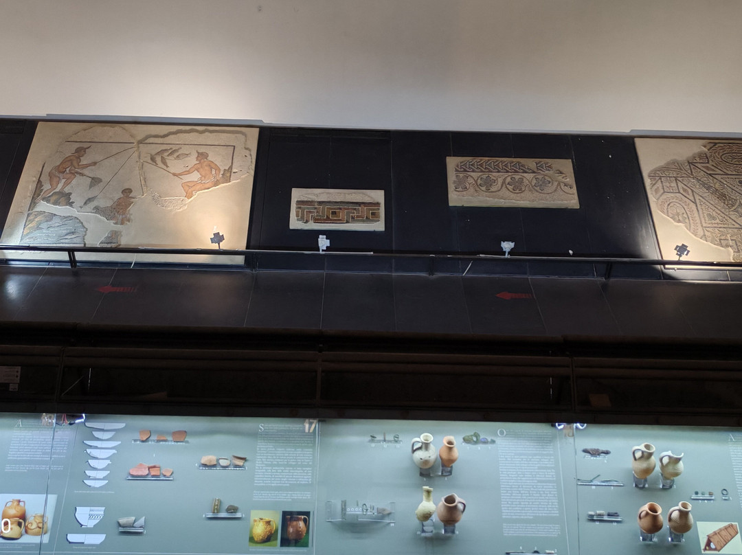 Civico Museo Archeologico e della Città di Savona-萨沃纳必去景点
