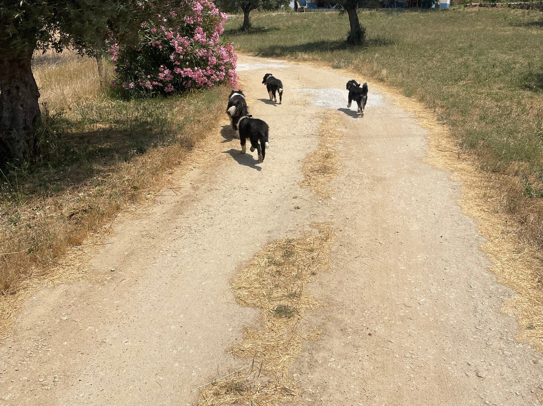 Quinta da Tapada de Sao Pedro主图