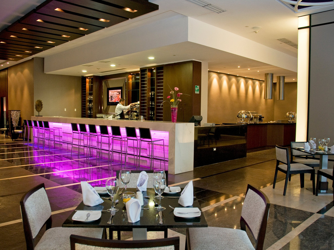 巴基西梅托丽都精品酒店主图