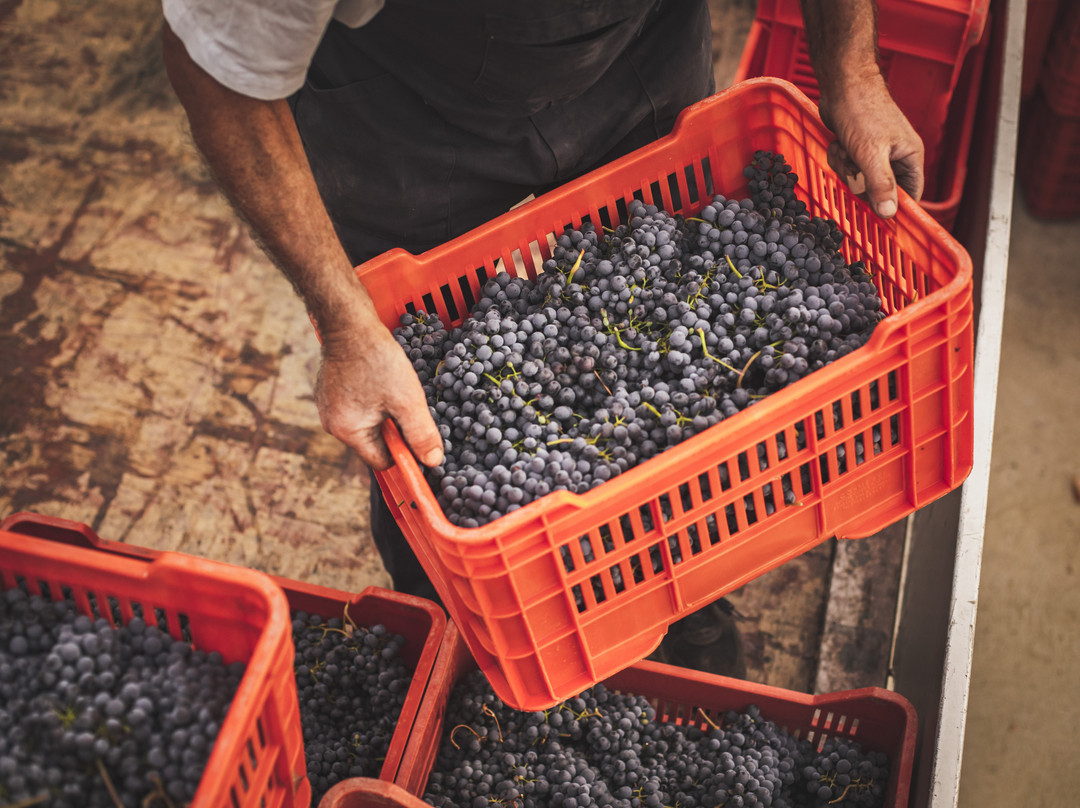 Tenuta Olim Bauda-Incisa Scapaccino必去景点