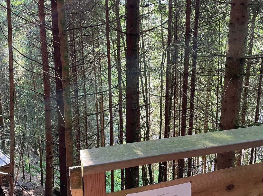 Saveurs Vosgiennes : Authentique, Naturel, Vosgien-Le Syndicat必去景点