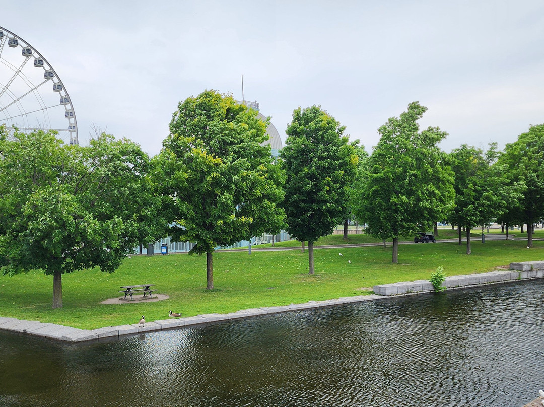 Old Port of Montreal-蒙特利尔必去景点